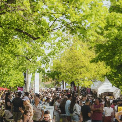 FestibiereRough-121-400x400 FestibiereRough-121-400x400